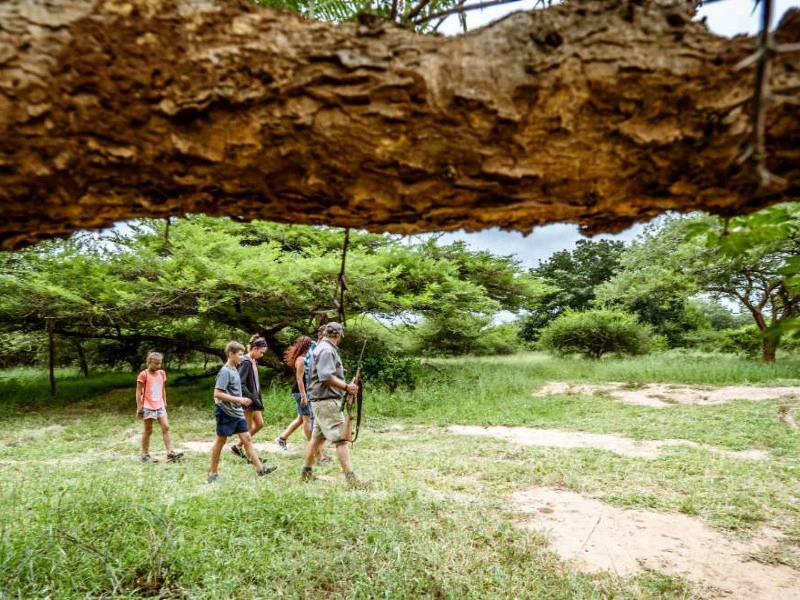 glamping-hoedspruit-kruger-zuid-afrika