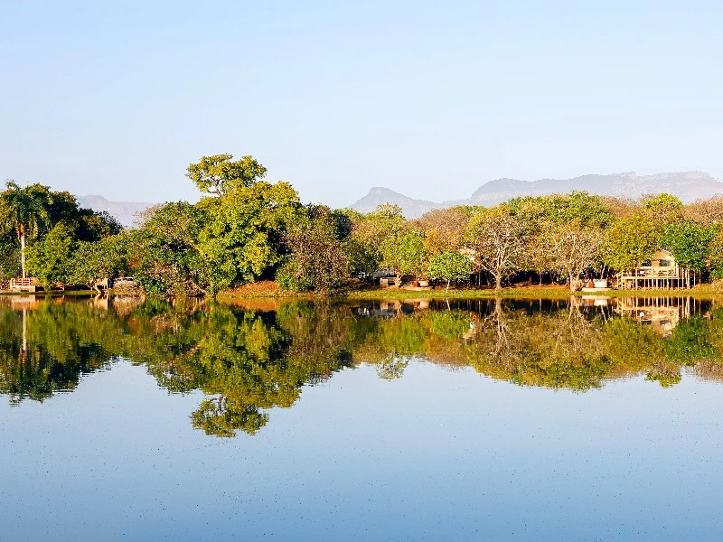 glamping-hoedspruit-kruger-view Zuid-Afrika