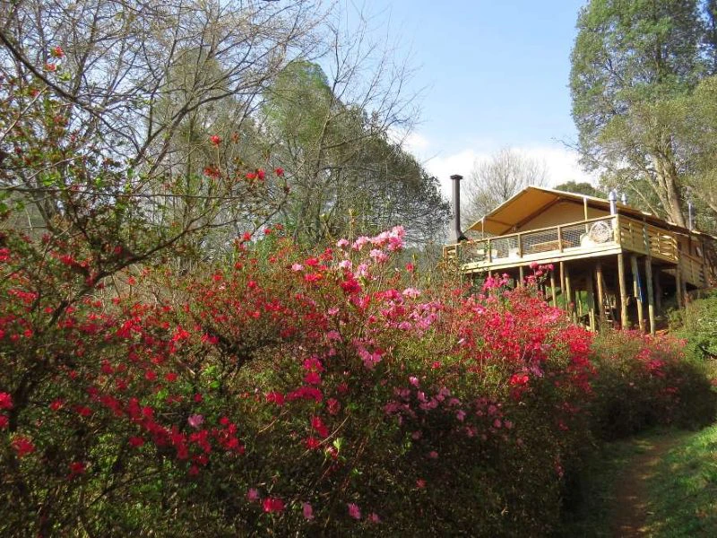 glamping-tent-zuid-afrika-magoebaskloof