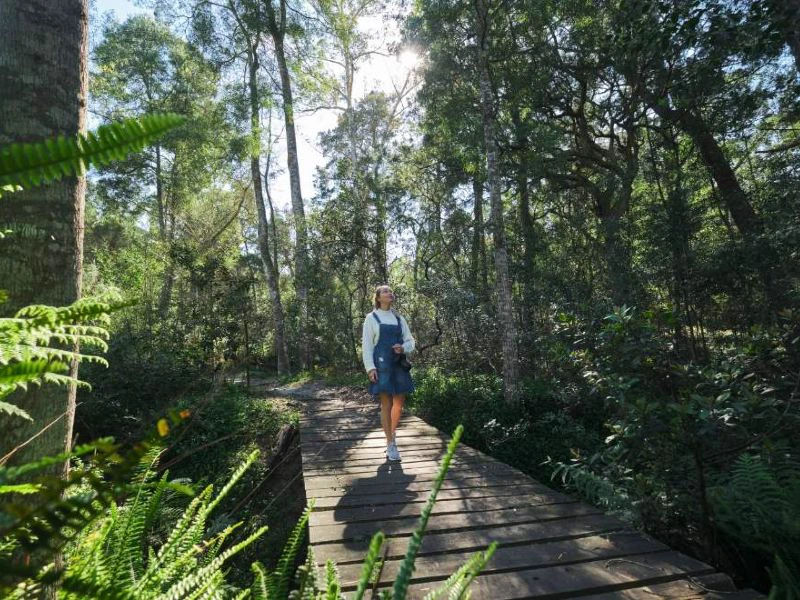 Glamping wilderness Zuid-Afrika