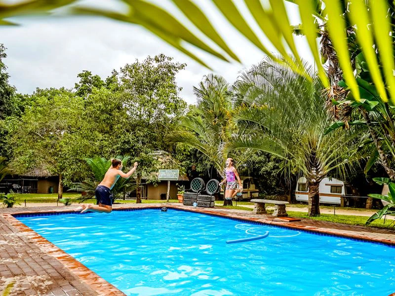 zwembad-glamping-hoedspruit-Zuid-Afrika