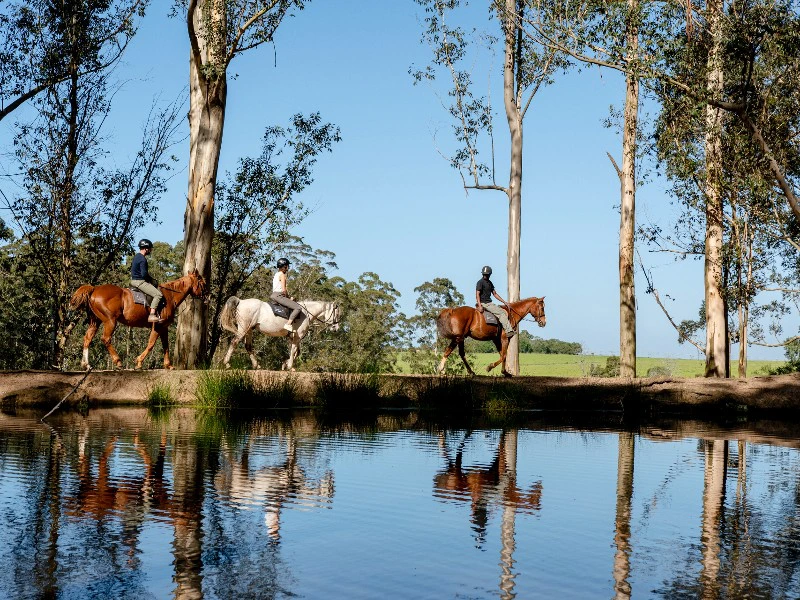 Glamping wilderness Zuid-Afrika