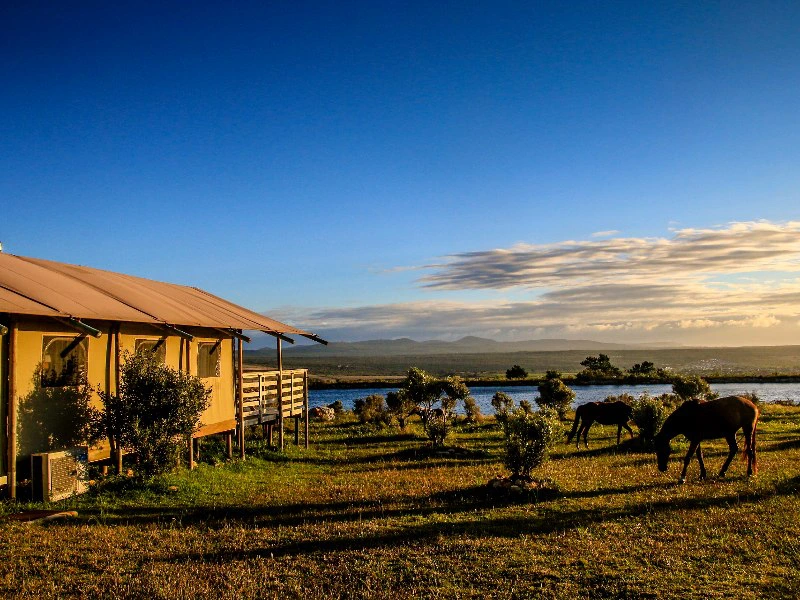 Glampingtent Hermanus in Zuid-Afrika
