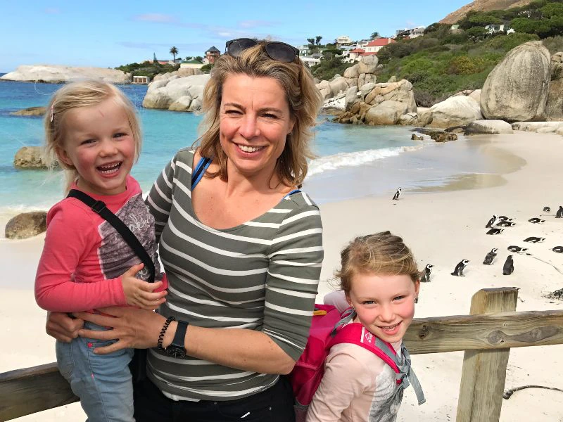 zuid afrika houtbaai pinguïns