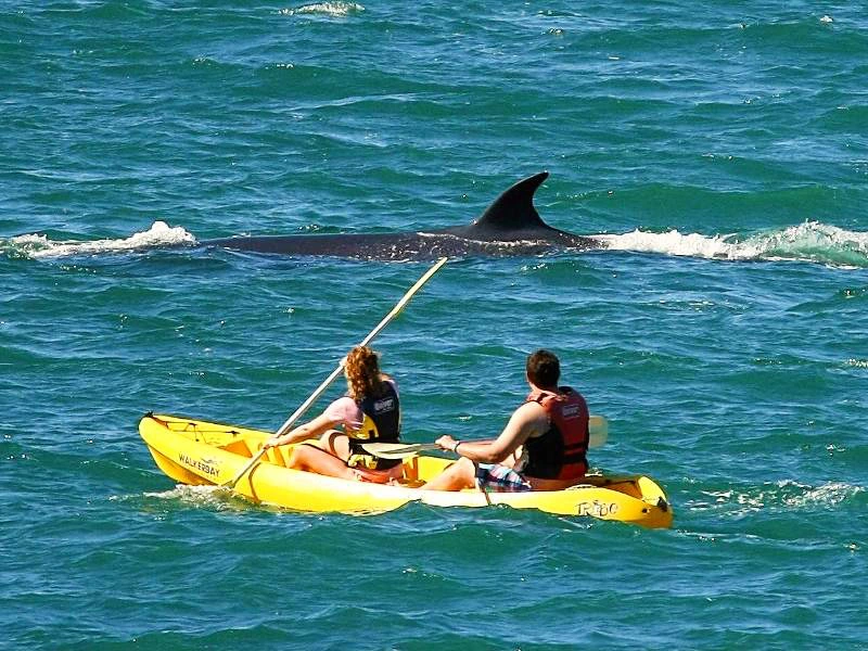 rondreis met tieners Hermanus Zuid-Afrika