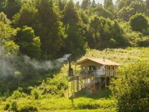 Safaritent helemaal omringd door natuur