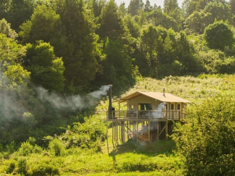 Safaritent helemaal omringd door natuur