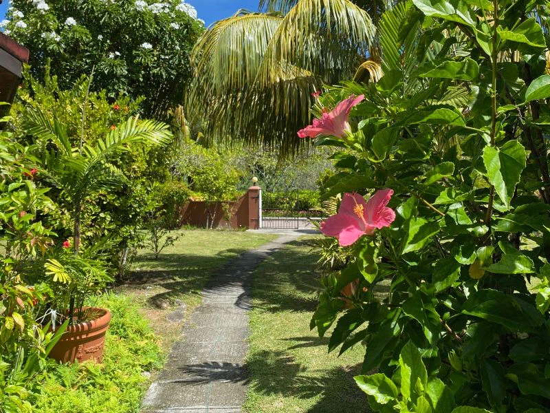 Tuin bij accommodatie Praslin