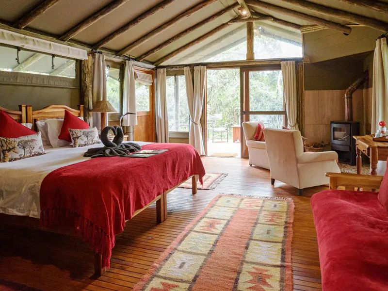 slaapkamer in safaritent