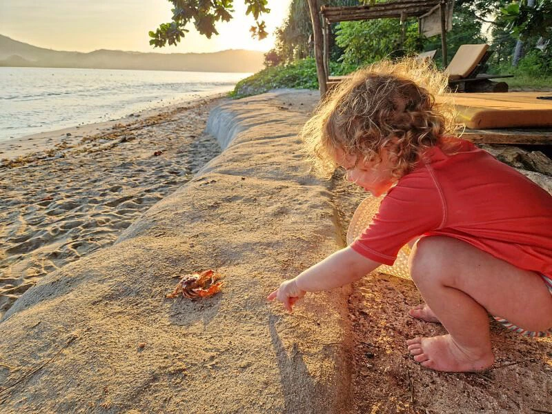 Africa - Seychelles - beach - crab