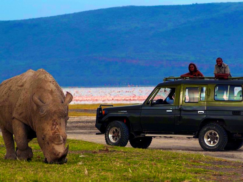 kenia safari