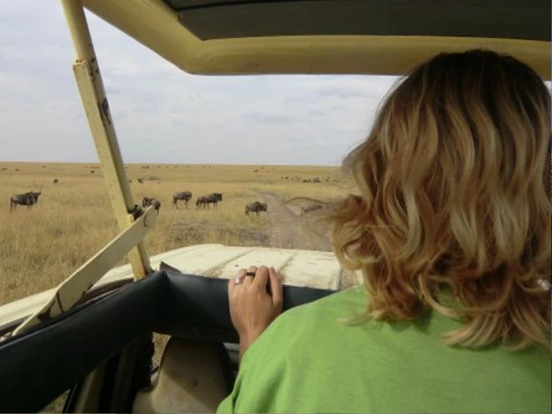 masai mara - gamedrive