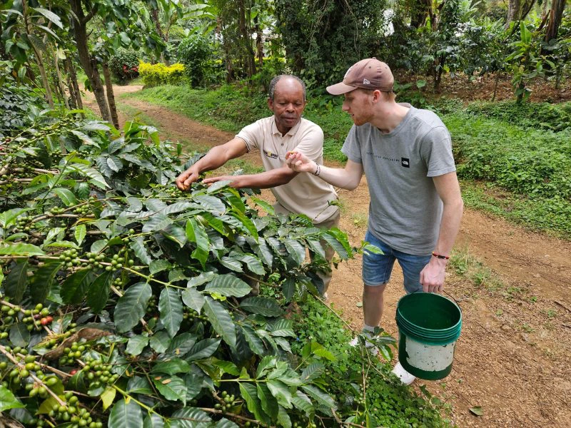 koffietour in Tanzania Kilimanjaro
