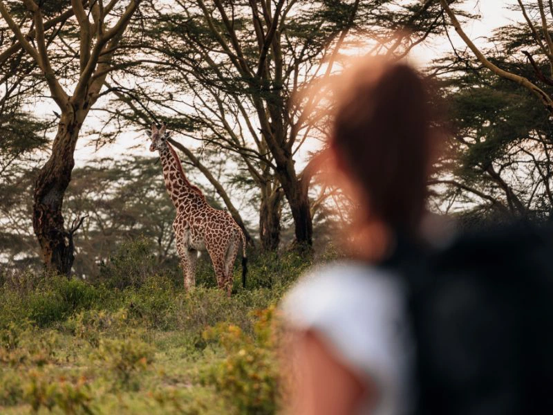 Walking safari Arusha