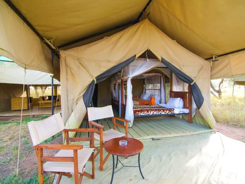 tent