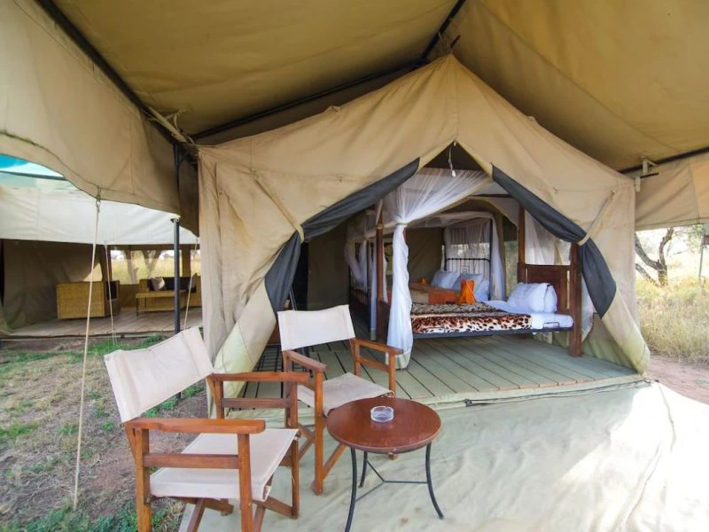 Safari tent rondreis