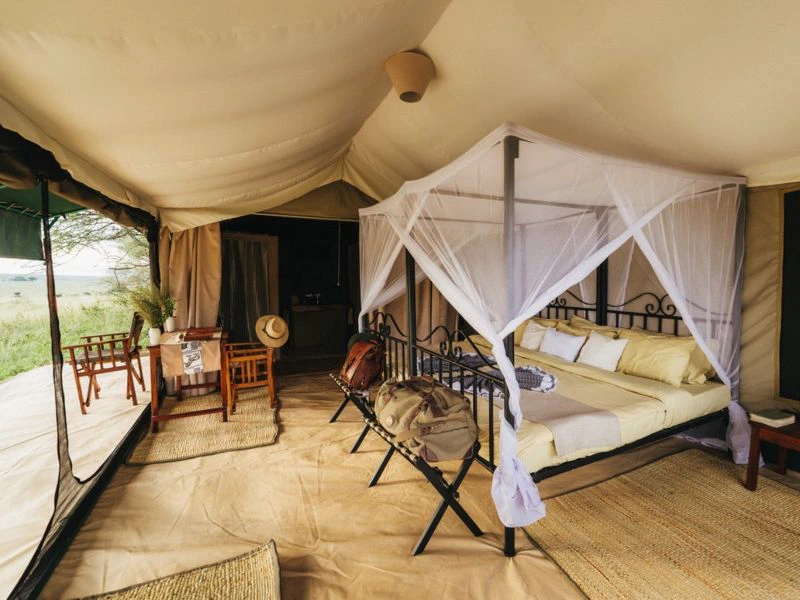 Je safari slaapplek