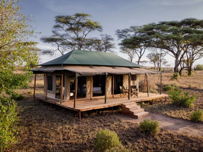 tented camp in serengeti