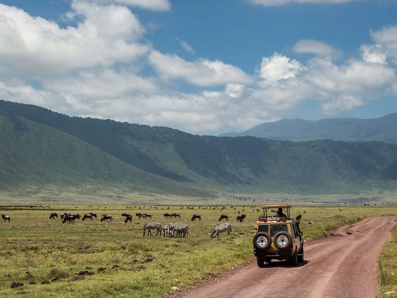 Ngorongoro