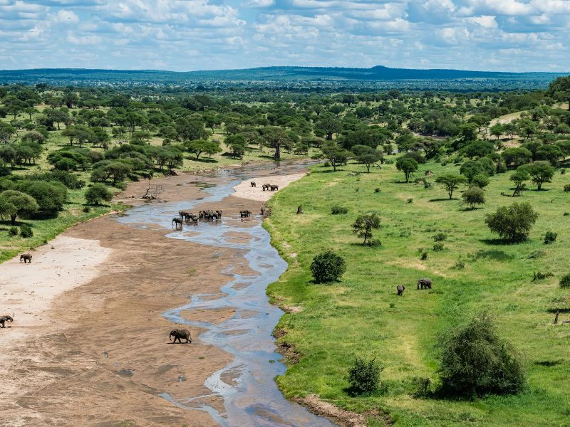 Tarangire National Park