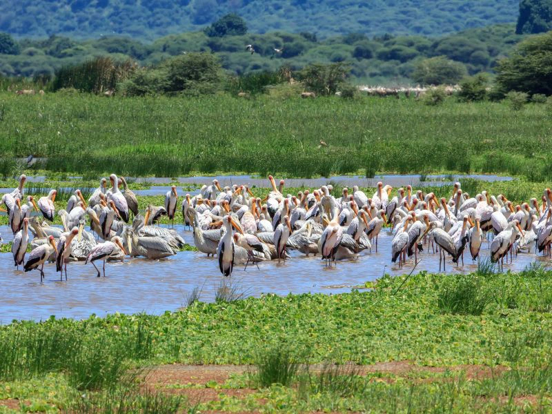 Tanzania-Lake-Natron