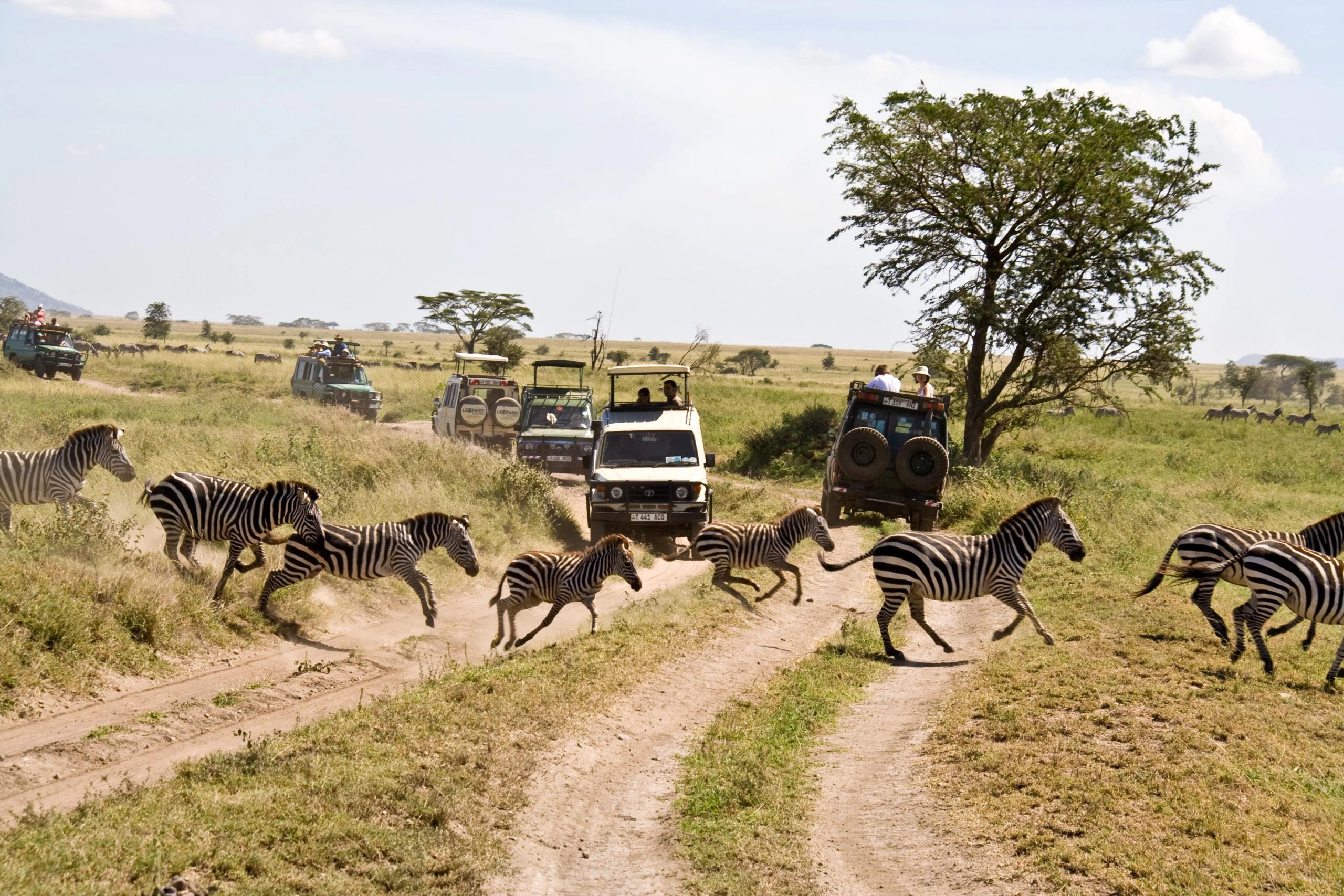 Serengeti National Park