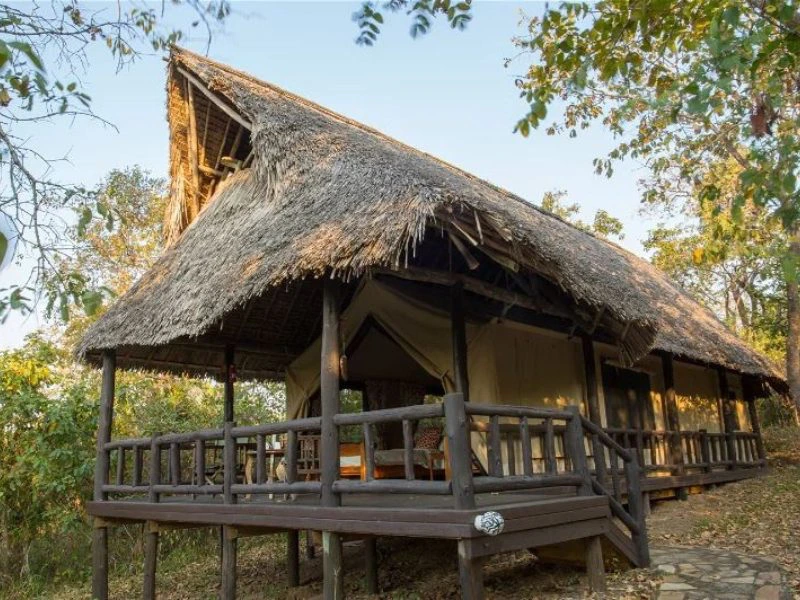 Mikumi Nyerere Zuid Tanzania