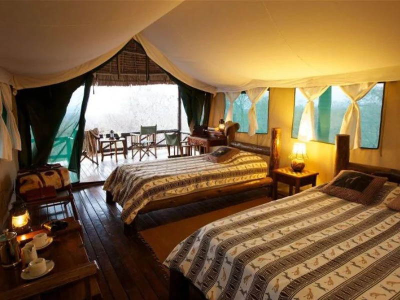 Mikumi Nyerere Zuid Tanzania