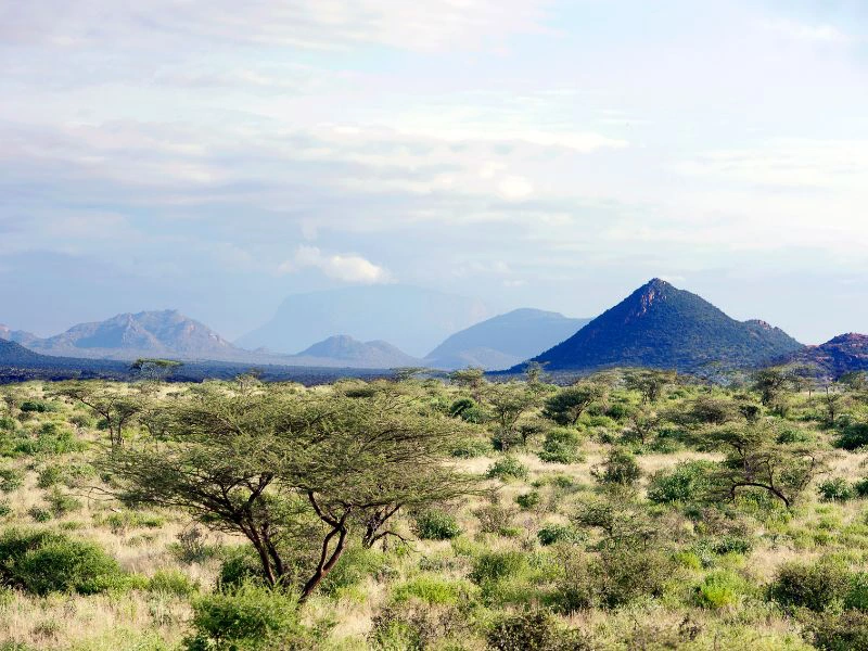 Samburu safari in Kenia