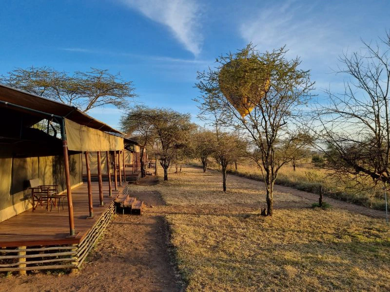 Safaritent Serengeti met heteluchtballon