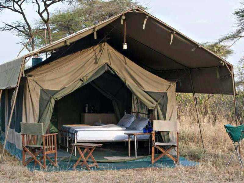 Safaritent met bedden