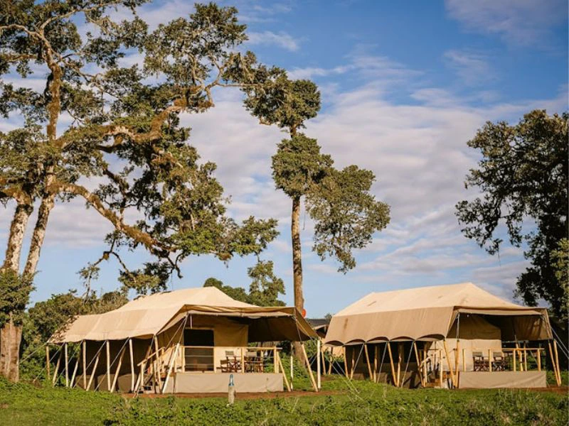 tented camp aan de ngorongoro krater