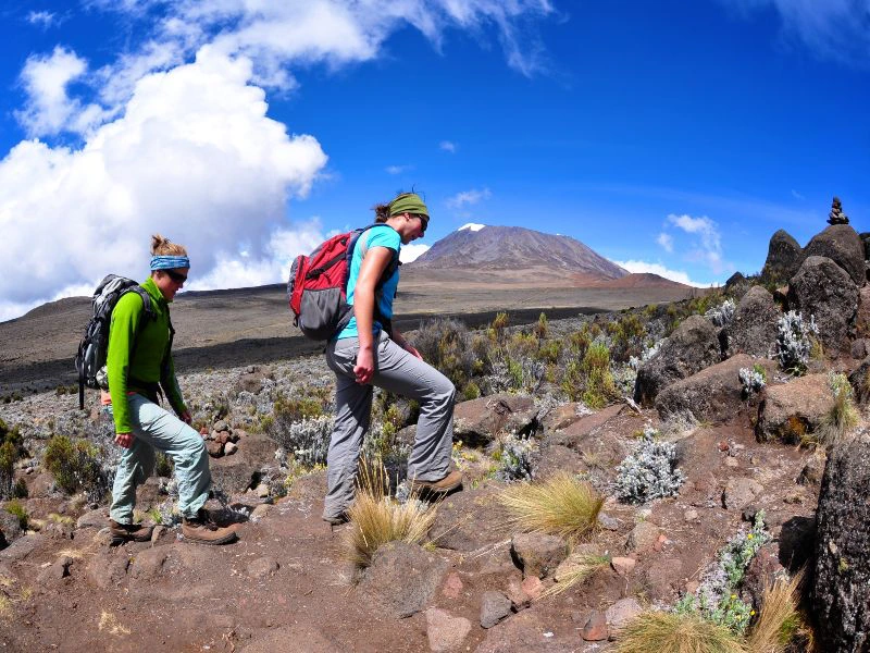 Kilimanjaro hike