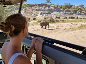 Amboseli National Park safari