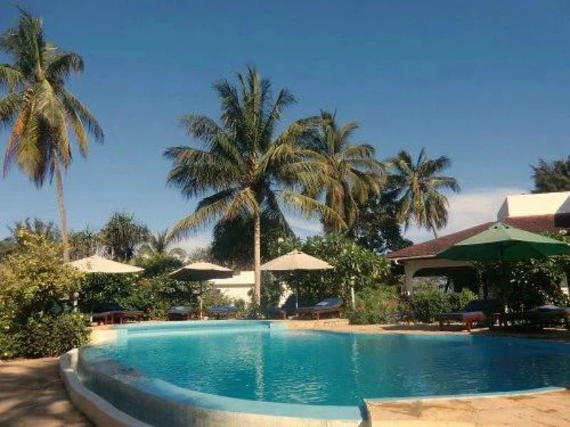 zwembad bij hotel in zanzibar omring met palmbomen