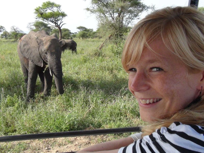 Reiziger kijkt tijdens een safari vanuit de jeep naar een olifant.