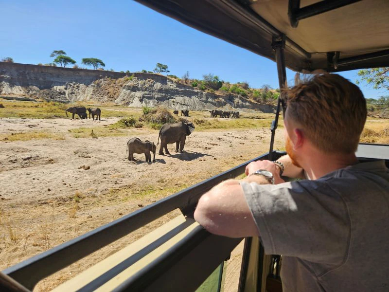 Reiziger spot olifanten vanuit de jeep In Tarangire National Park.