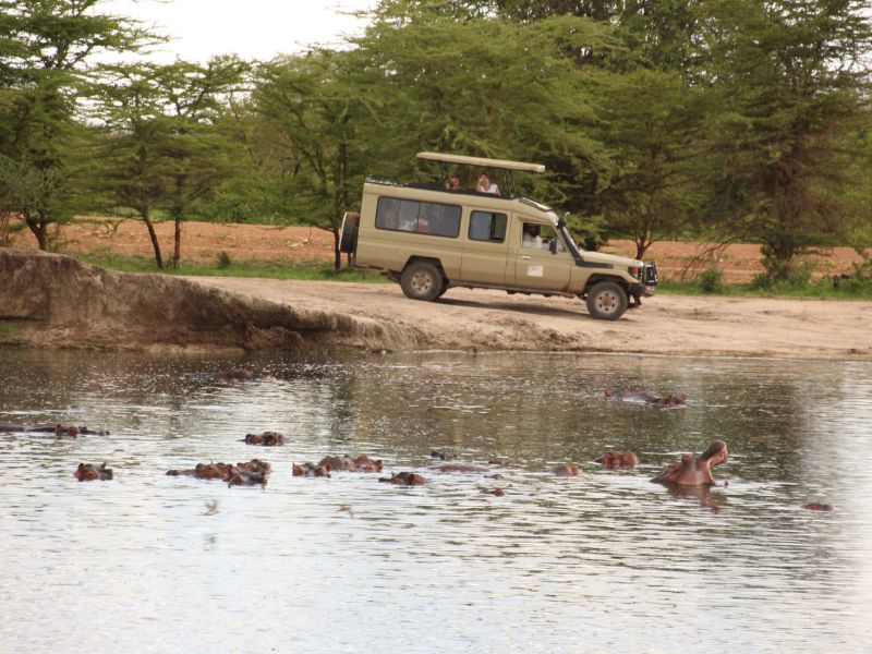 Reizigers spotten nijlpaarden in de rivier vanuit hun jeep.