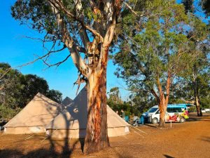 Glamping op Kangaroo Island