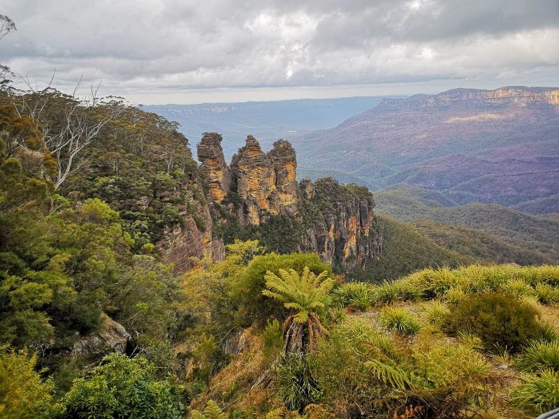Dag excursie naar Blue Mountains vanuit Sydney