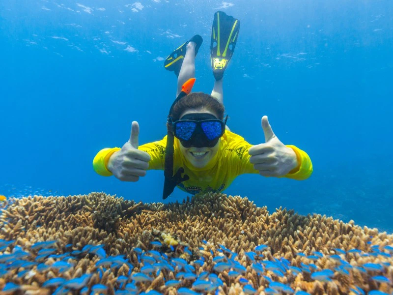 Snorkelen tijdens de ocean safari in het great barrier reef