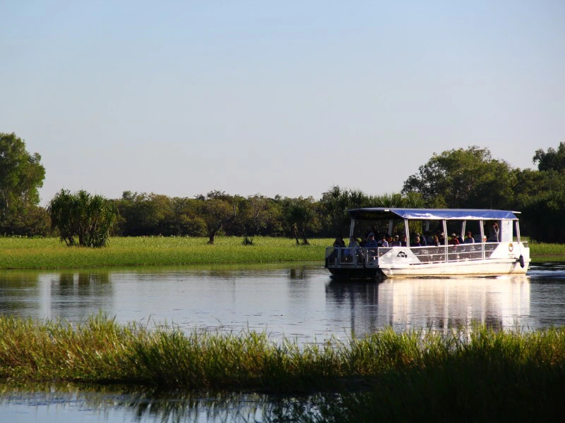 Yellow waters krokodil