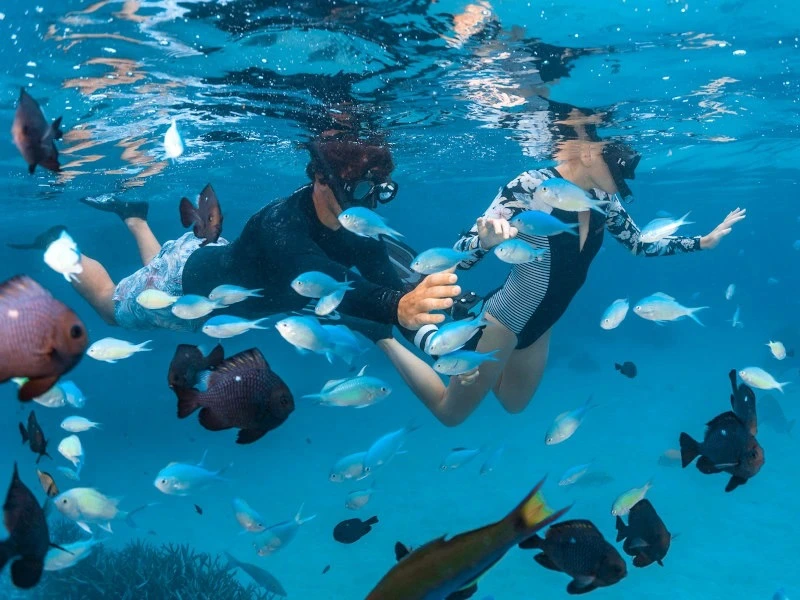 Australië Ningaloo Reef snorkelen