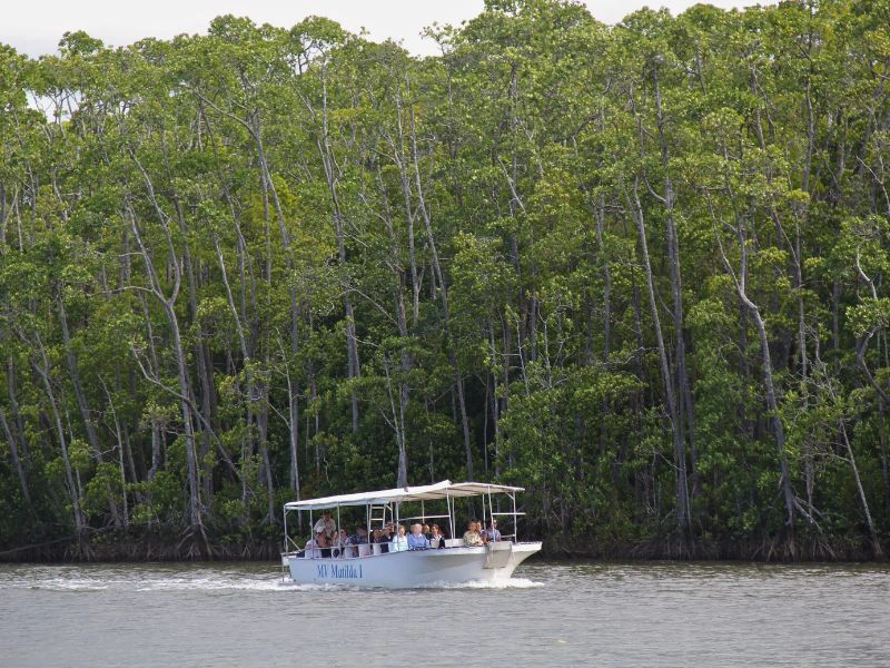 Varen over de Daintree river in Cape Tribulation