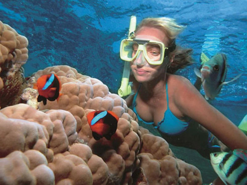 Snorkelen bij het Great barrier reef