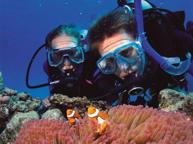 Duiken in het great barrier reef