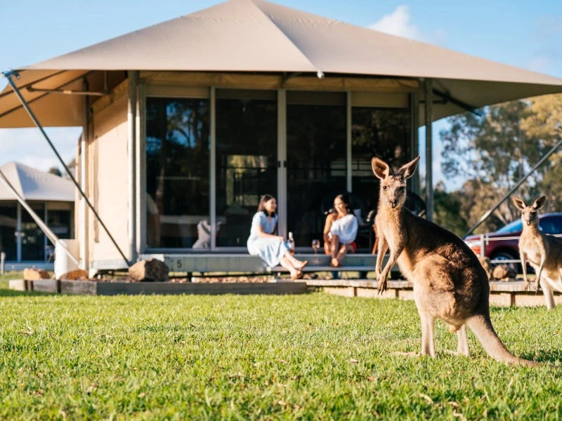 Australië Noosa glamping
