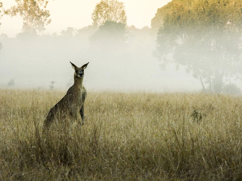 roadtrip door victoria