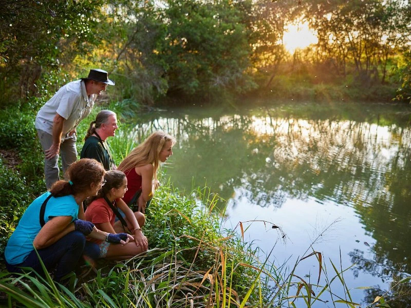 vogelbekdier spotten