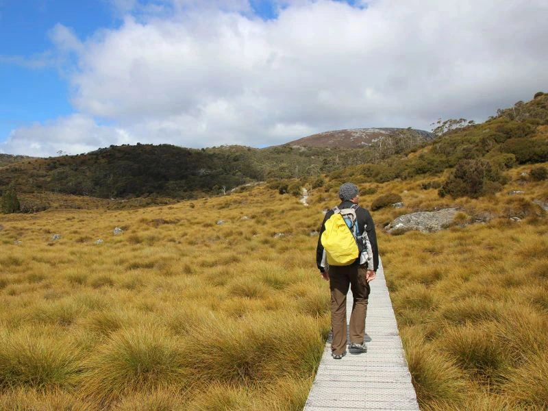 wandelen in Cradle mountains